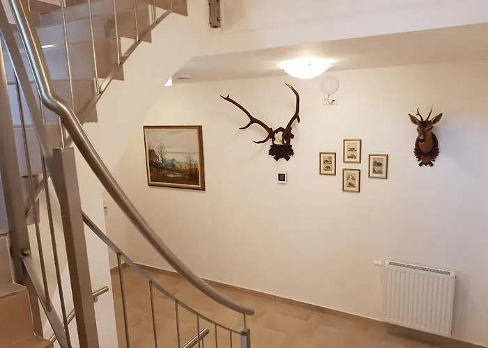 Lilly - Luxus Im Villenviertel 公寓 巴德伊舍